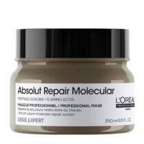 Absolut Repair Molecular Μάσκα Μοριακής Επανόρθωσης Για Ταλαιπωρημένα Μαλλιά 250ml L''OREAL PROFESSIONNEL Absolut Repair Molecular Μάσκα Μοριακής Επανόρθωσης Για Ταλαιπωρημένα Μαλλιά 250ml L''OREAL PROFESSIONNEL