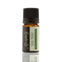 Evergetikon Αιθέριο Έλαιο Τεϊόδεντρο 5ml
