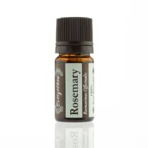 Evergetikon Αιθέριο έλαιο Δεντρολίβανο 5ml