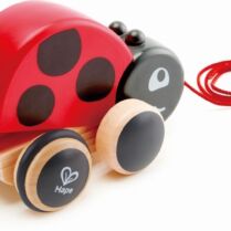 Hape Push & Pull Ξύλινη Συρόμενη Πασχαλίτσα (E0362)