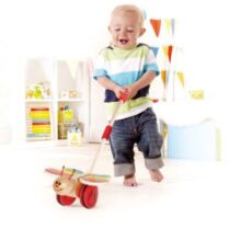 Hape Push & Pull Ξύλινο Butterfly (E0340)