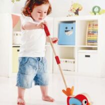 Hape Push & Pull Ξύλινο Πουλάκι Lilly Με Ήχους (E0353A)
