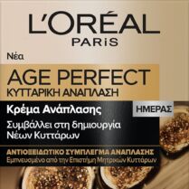L'Oreal Paris Age Perfect Cell Renew Day Cream Αντιρυτιδική Κρέμα Προσώπου Ημέρας για Κυτταρική Ανανέωση - Ανάπλαση της Επιδερμίδας 50ml