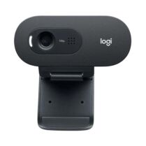 Logitech C505 Web Cam