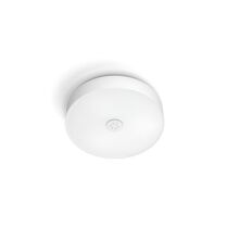 Philips Hue Fair White Οροφής Φωτιστικό