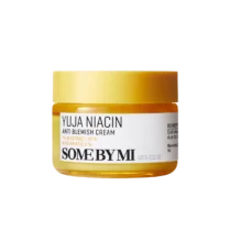 Some By Mi Yuja Niacin Anti Blemish Cream 60gr Some By Mi