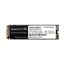 TeamGroup MS30 M.2 SATA III 256GB SSD Εσωτερικός Σκληρός Δίσκος