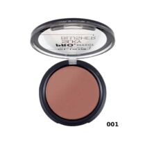 ΡΟΥΖ ELIXIR SILKY LONG LASTING 001